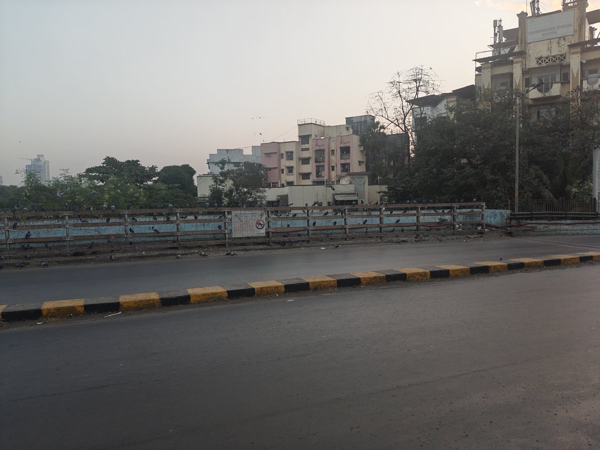 swiftblogs tweet media