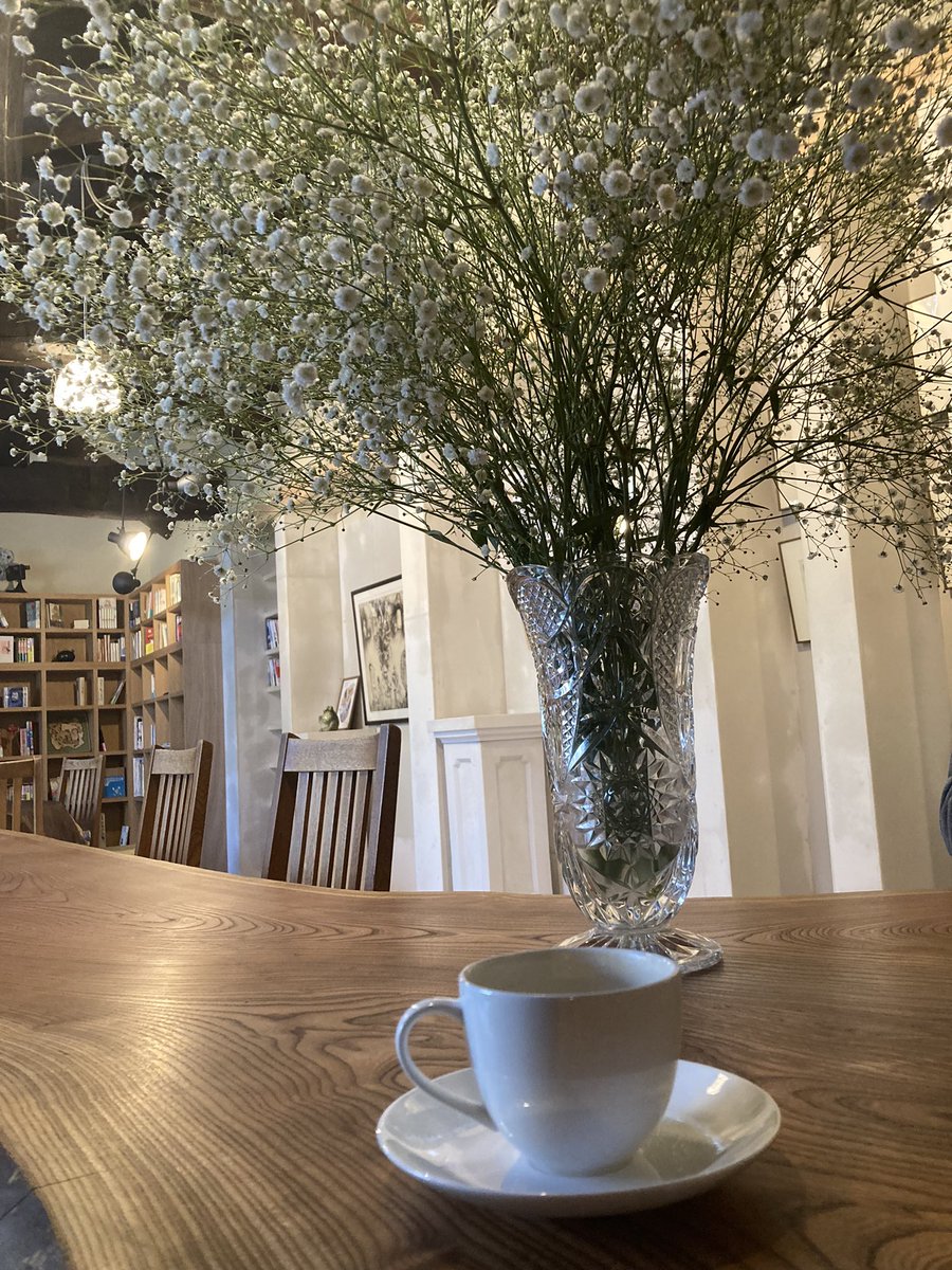 阿佐ヶ谷でめちゃくちゃ素敵なカフェに迷いこみました👀✨夢だったのかもしれません☕️