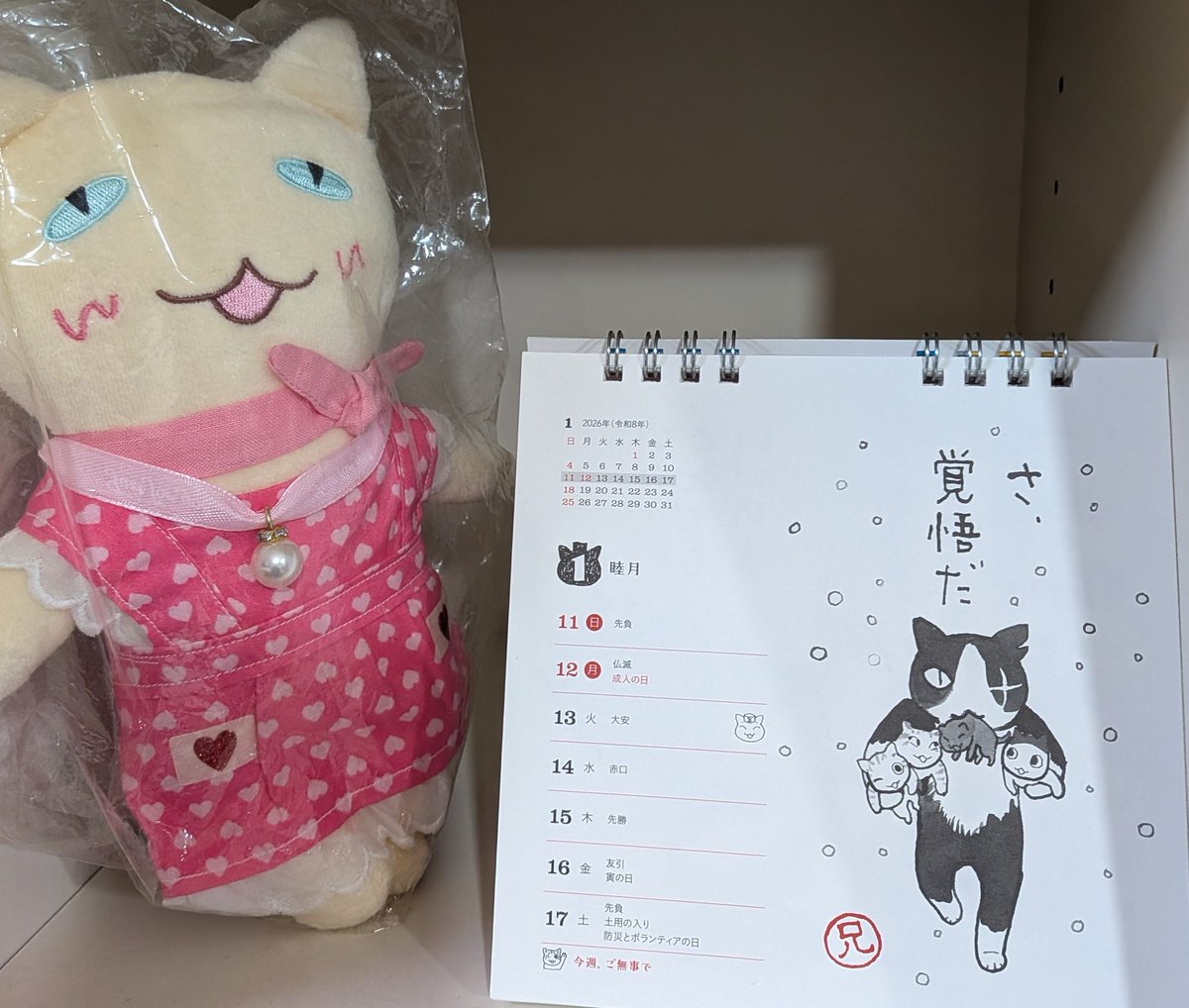 深谷かほる「夜廻り猫」11巻 (@fukaya91) / Posts / X