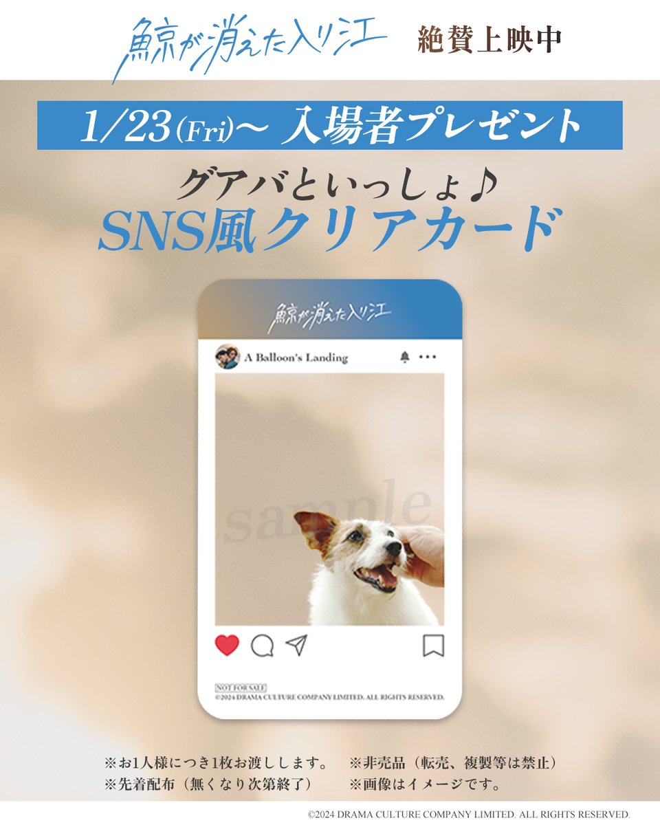 鯨が消えた入り江 ㊗️極上音響上映 in 立川シネマシティ ㊗️Blu-ray