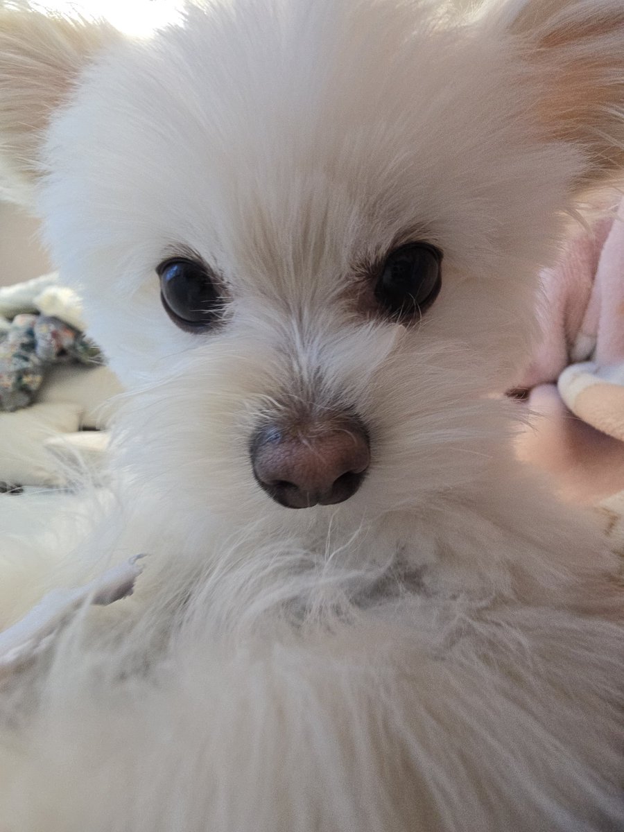 안녕허세요 안경닦인데요 살려주세여