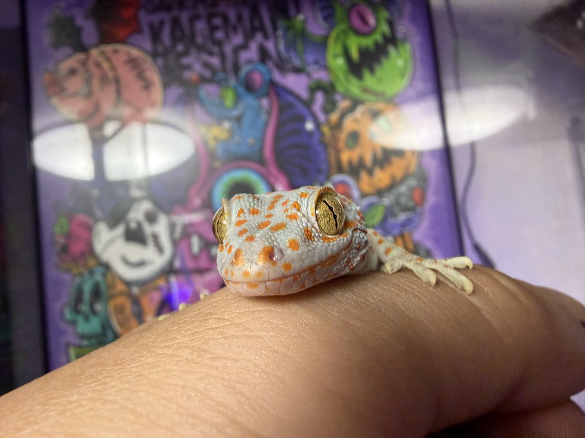 麻生絵夢ページ 麻生絵夢 (@AsoEmu) on X