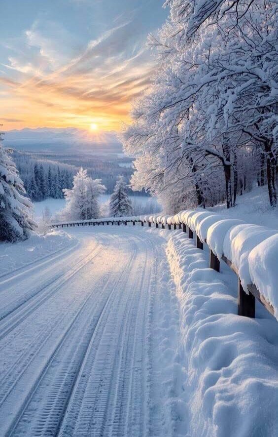 Damon22l's tweet image. Good morning!