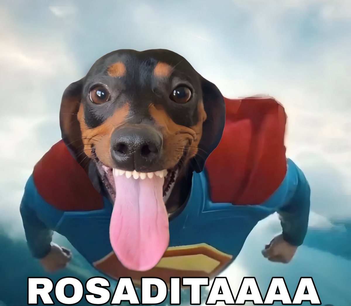 Jaime Villalón 🌐 tweet media