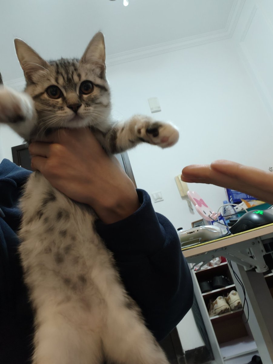 mmkac- tweet media