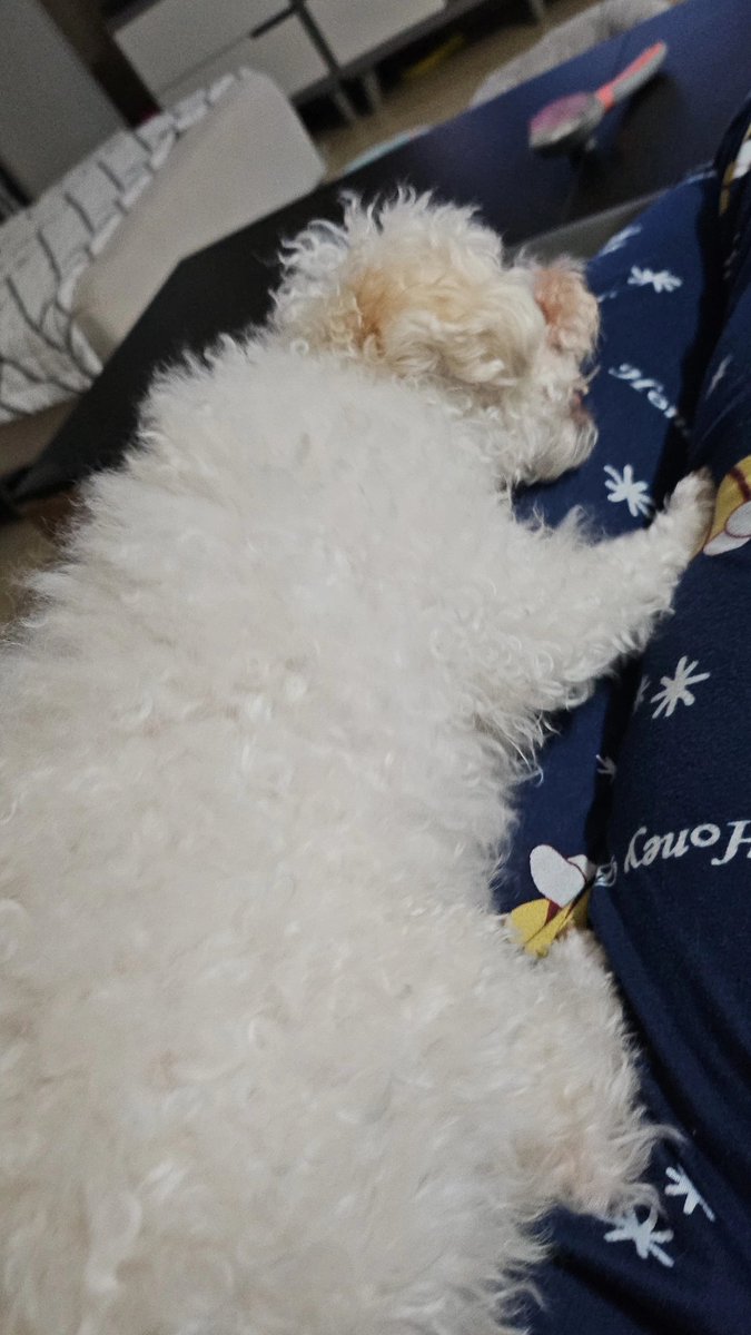 신로미언니 tweet media