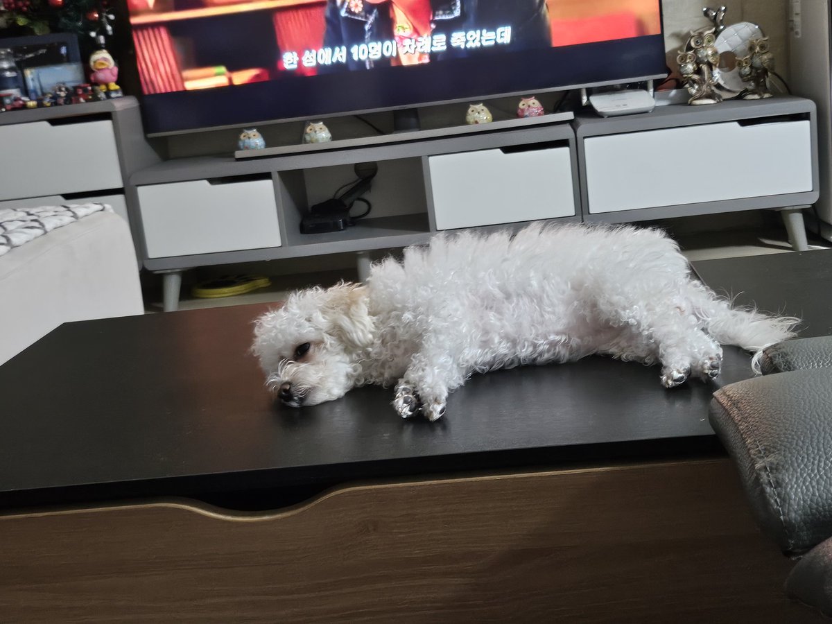 신로미언니 tweet media