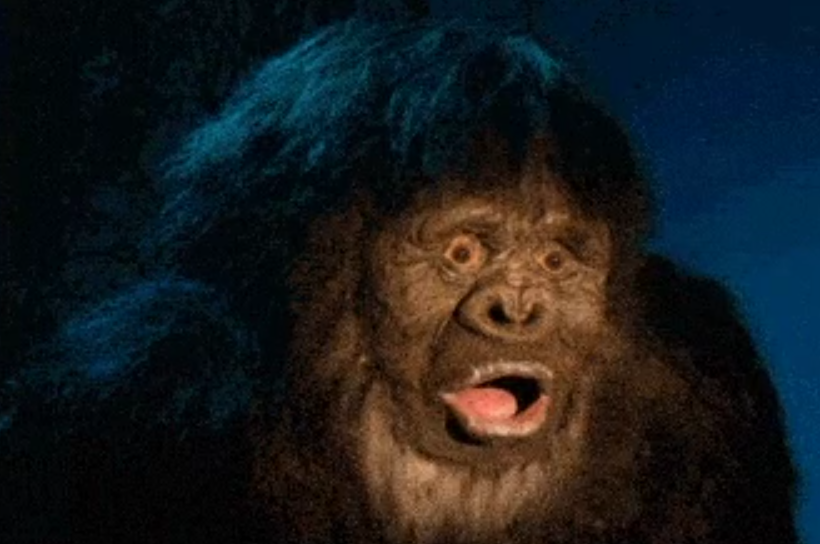 Super Bera🐻⛓️ tweet media