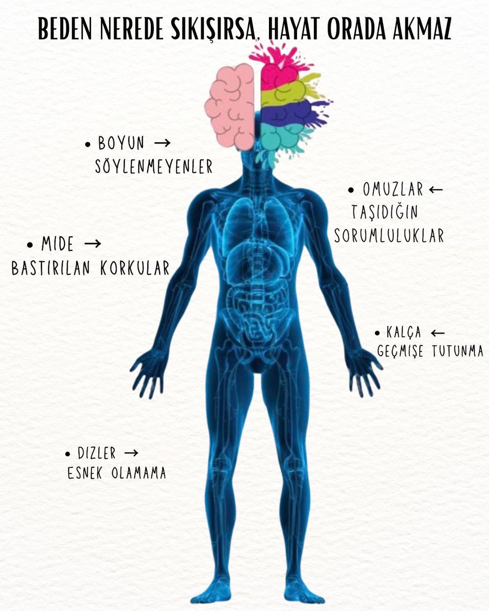 BEDEN NEREDE SIKIŞIRSA, HAYAT ORADA AKMAZ

•Boyun → Söylenmeyenler
•Omuzlar → Taşıdığın sorumluluklar
•Mide → Bastırılan korkular
•Kalça → Geçmişe tutunma
•Dizler → Esnek olamama

Beden, zihnin sustuğu yerde konuşur.
Dinlemeyi bilirsen yol gösterir.

#pınarerdoğan