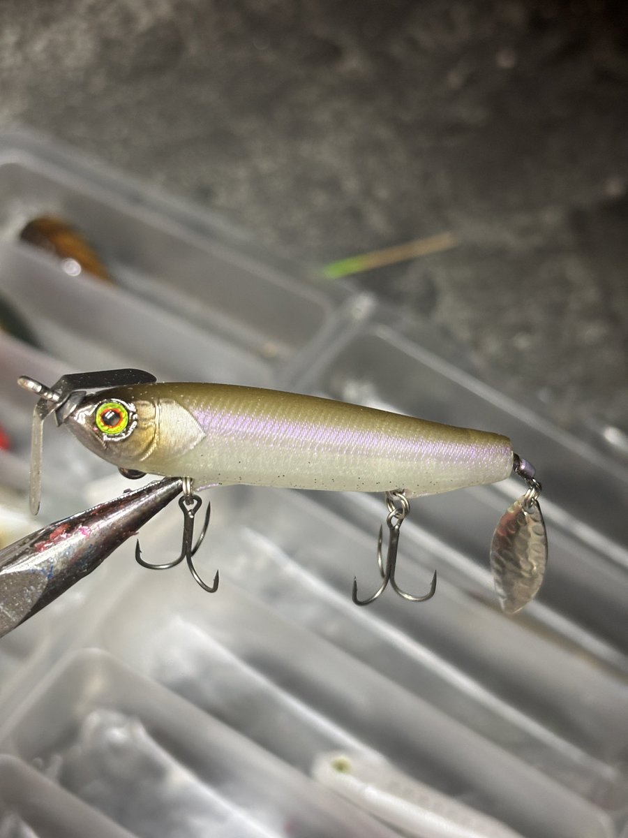 山ちゃん (@XkHQtZK8kx3fhWt) / Posts / X