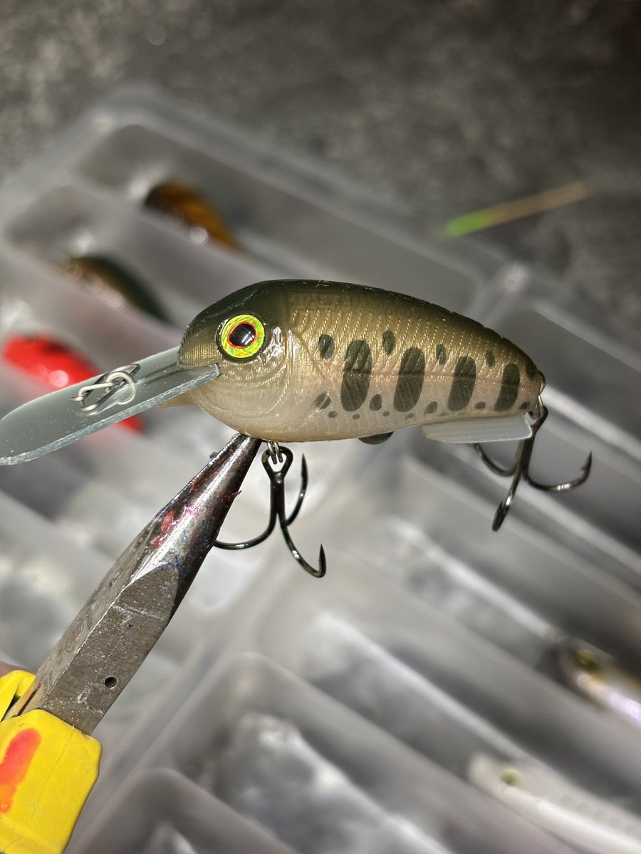 山ちゃん 山ちゃん (@XkHQtZK8kx3fhWt) / Posts / X