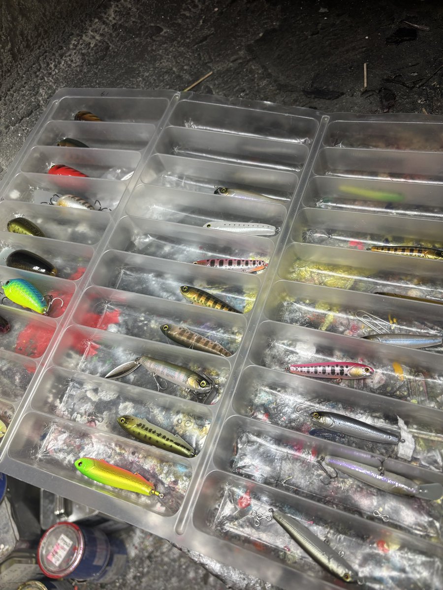 山ちゃん Amazon.co.jp: みいちゃんと山田さん(3) (シリウスKCDX) : 亜月 ねね