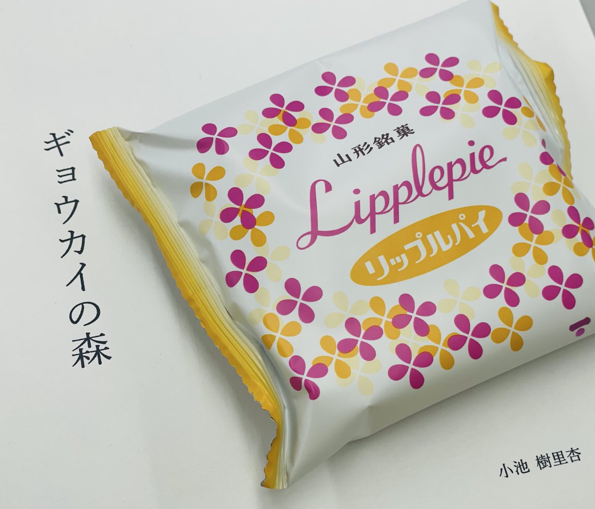 写真の撮り方がうまくておしゃれなチラシかと思った