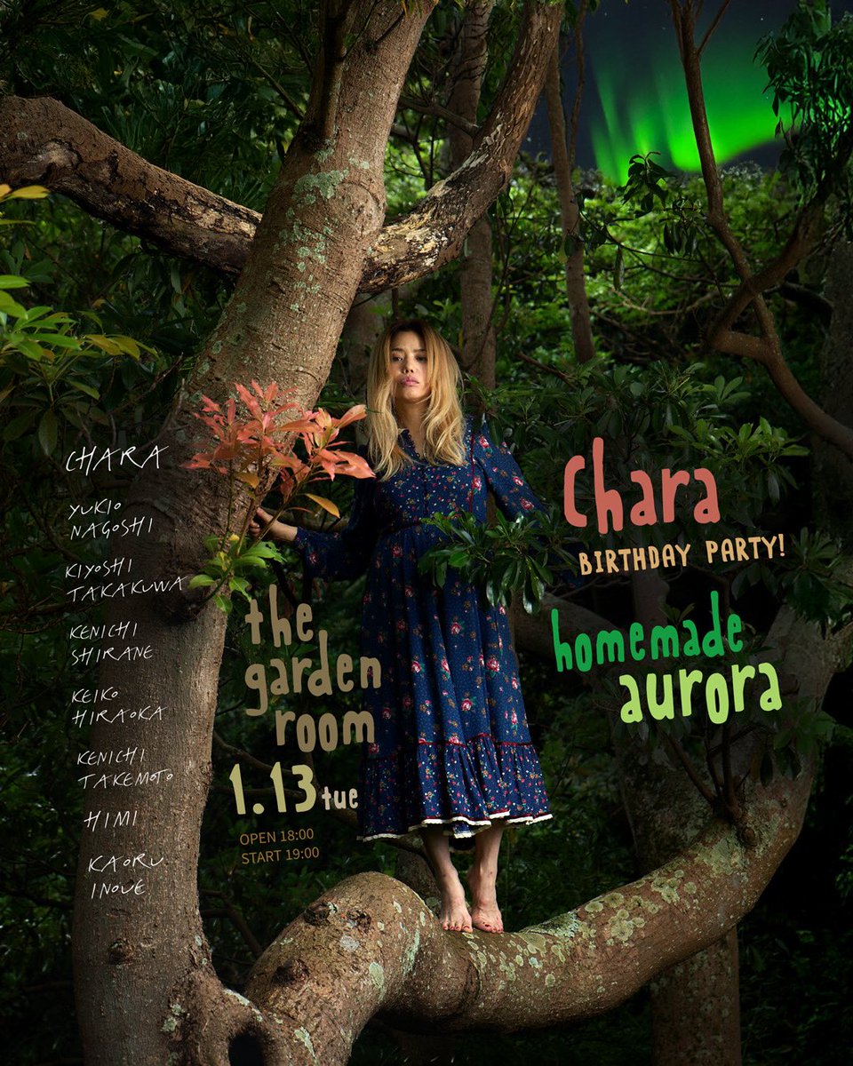 Chara チャラ チャラクラ ファンクラブ 会報 激レア☆CHARAファン