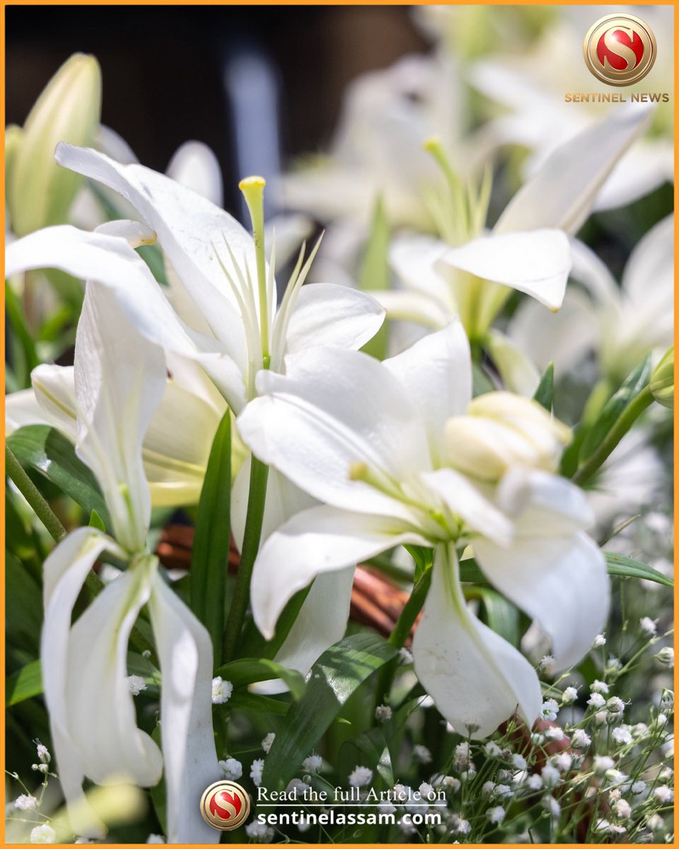 Arunachal Pradesh Chief Minister Pema Khandu on Monday flagged off the state’s first-ever commercial shipment of cut flowers to Guwahati, signalling a new chapter for local floriculture. 

The consignment of 2,000 Asiatic Lilium stems from Lower Subansiri district earned around