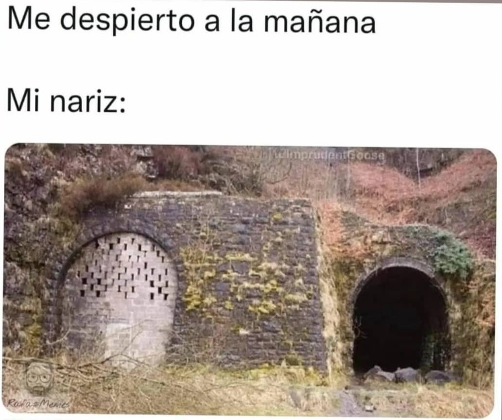 ymuchosmemes's tweet photo. https://t.co/i43kGPjMHK