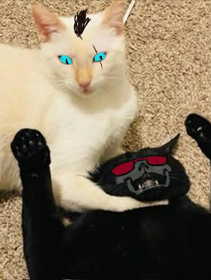 dot41g's tweet image. 