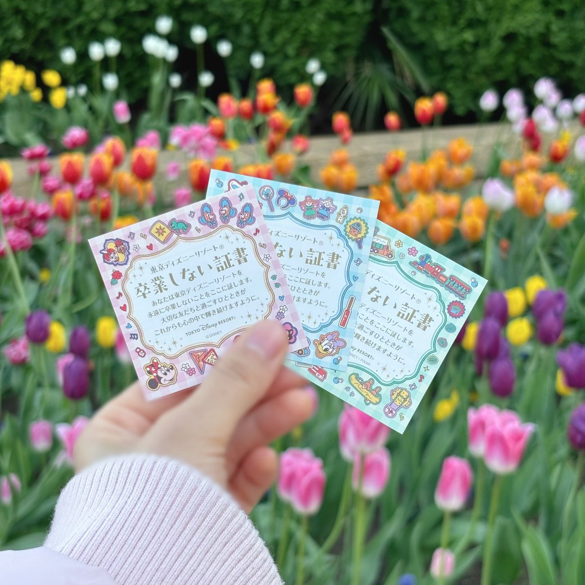 こんなのがあるらしい… と知ったので、ディズニーに居るらしい🦊に