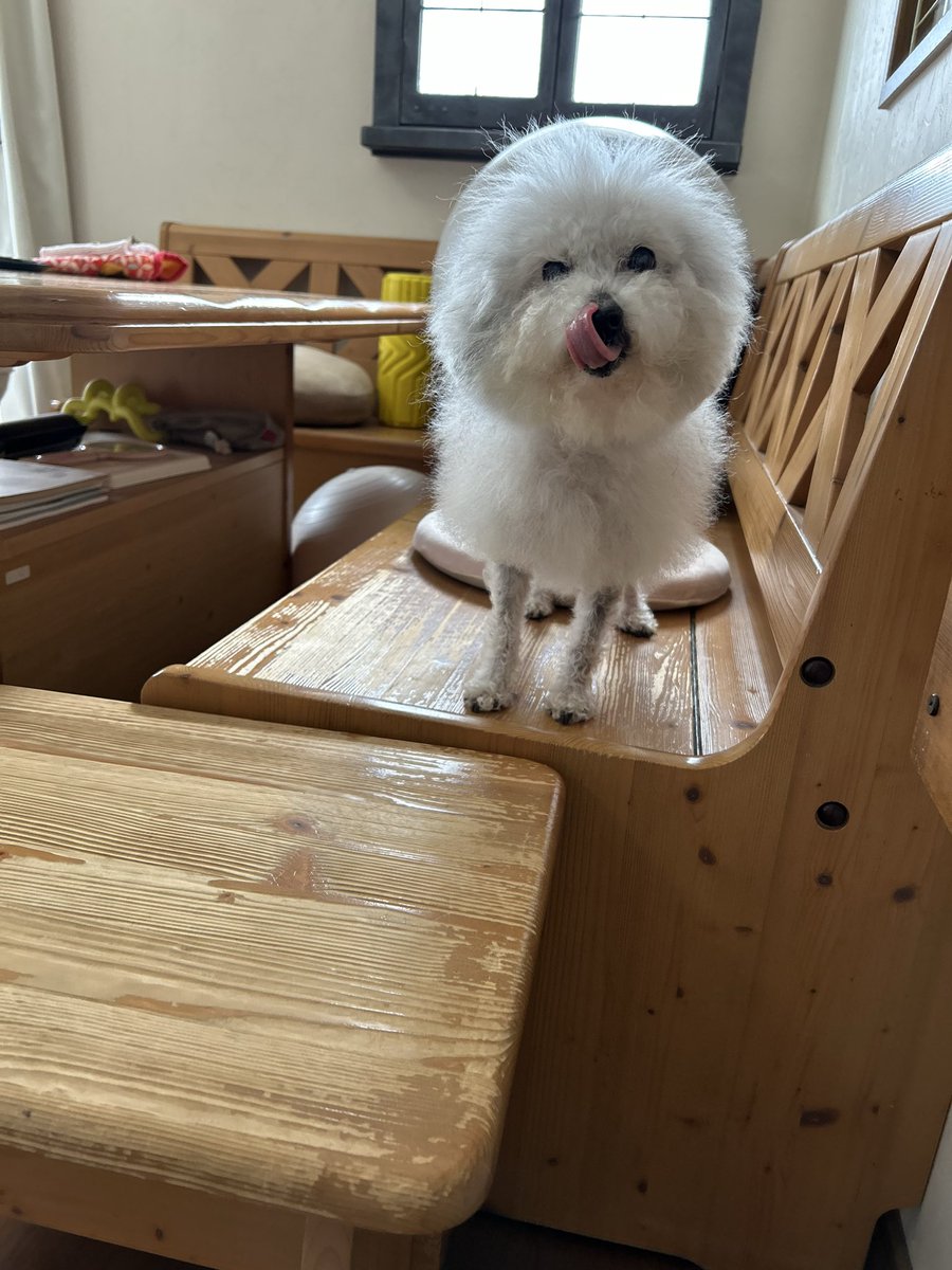 ハル♡ Image Models Tokyo < Asian > | Haru Izumi for Harry Winston Lily