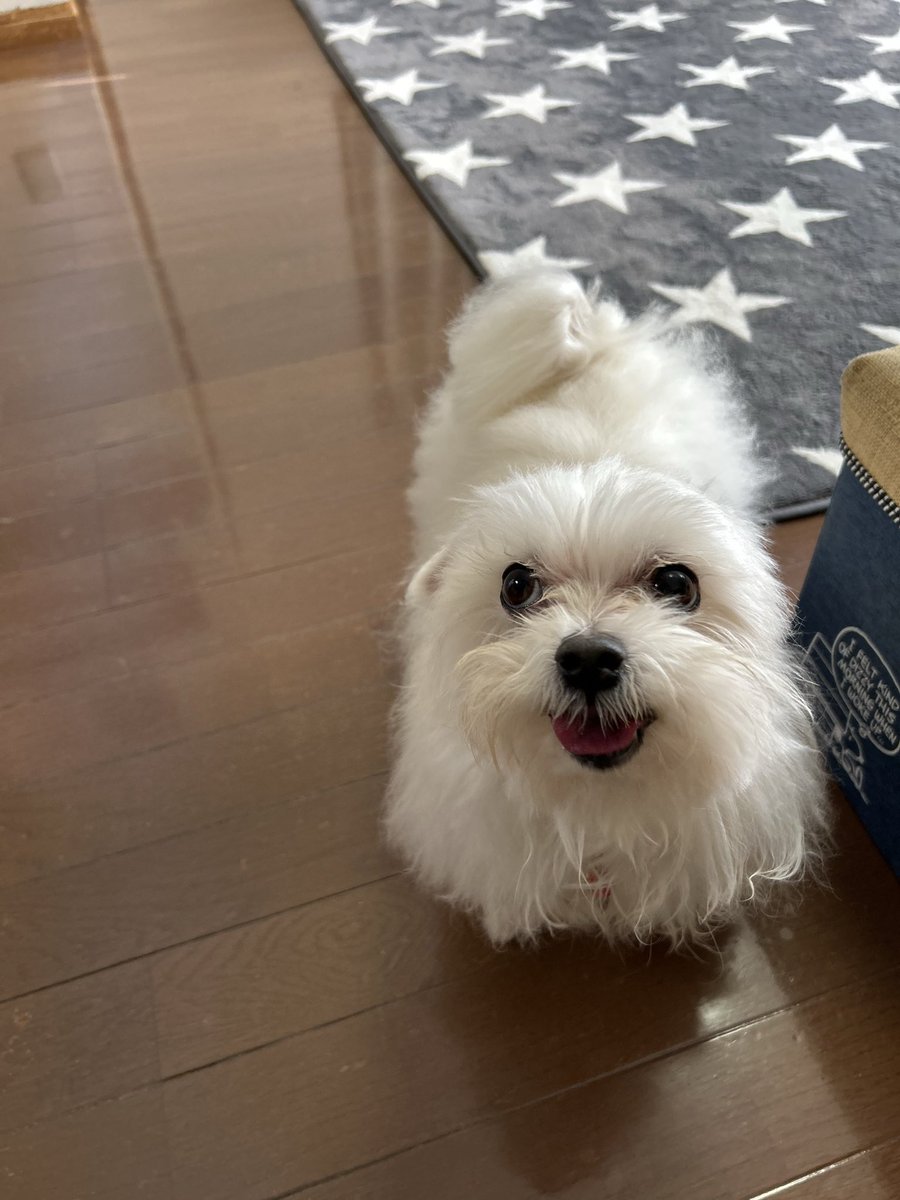 ハルさま確認ページ♥ ヒョウ柄ちょー好き💞💄