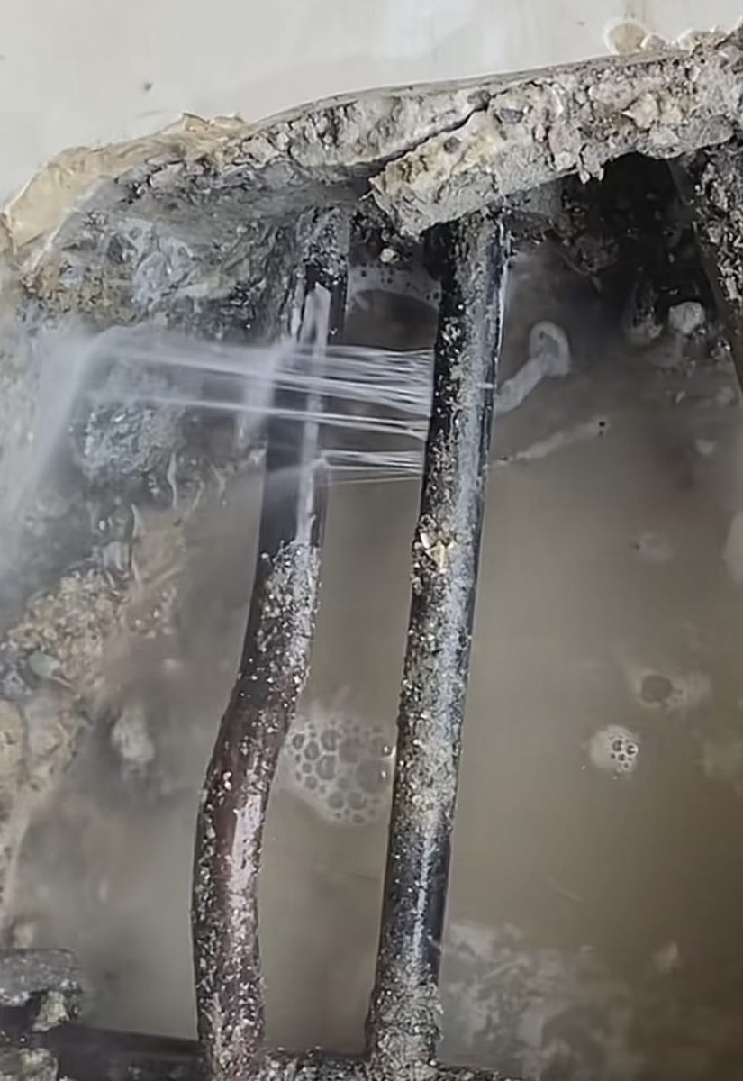 ⭐️NosArtisansOntDuTalent ⭐️ tweet media