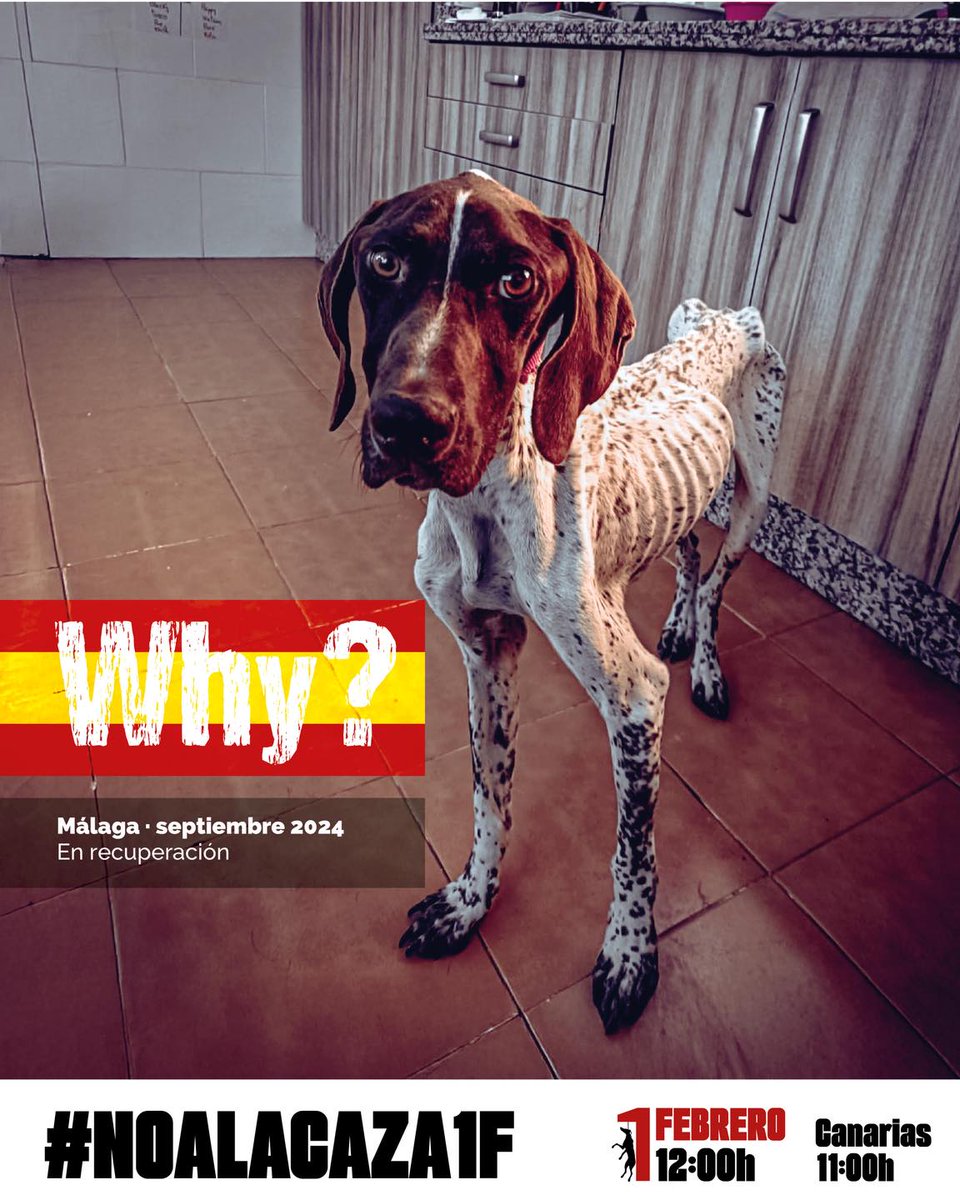 Plataforma NAC #NoALaCaza tweet media