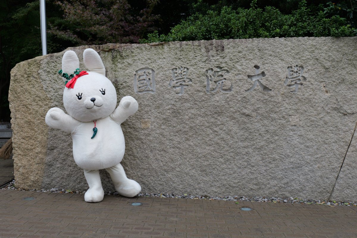 受験の季節が始まるぴょん！みんなが力を発揮できるように応援しているぴょん！受験生のみんな、がんばるぴょん(>ω<)
#國學院大學