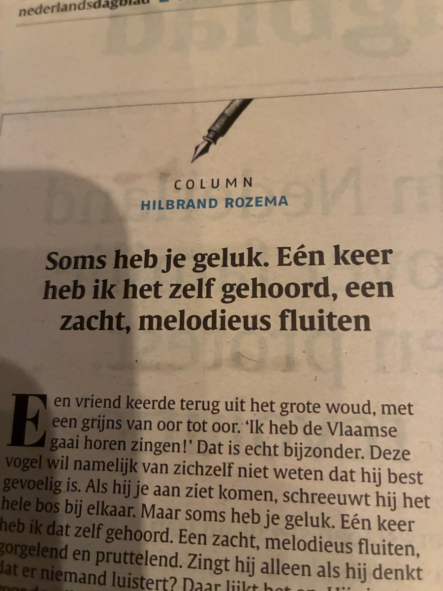 Jan Westert tweet media