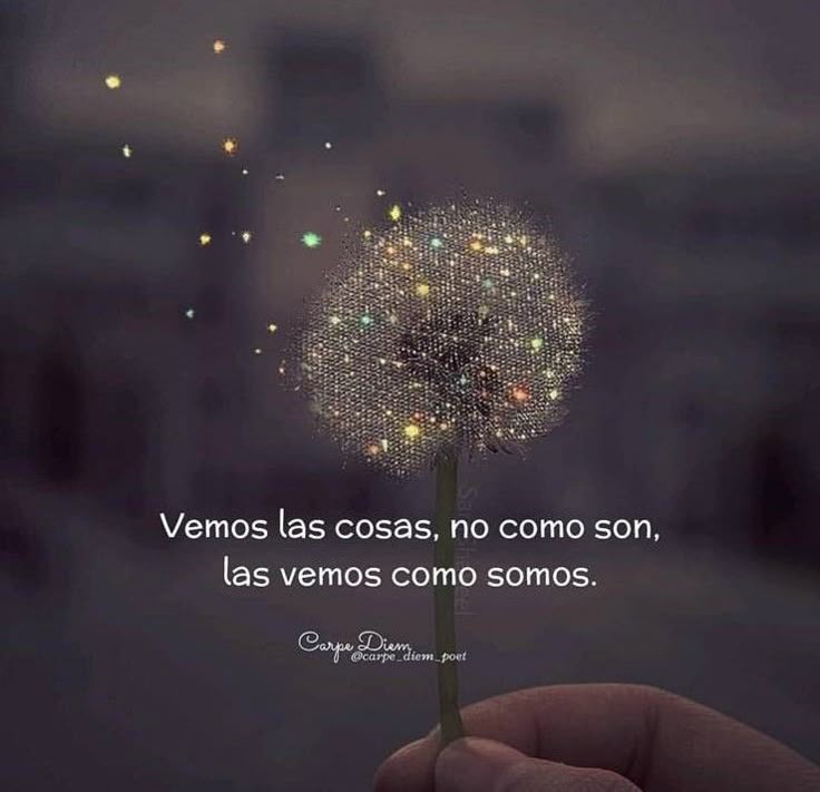 Vuelvo a abrir las puertas de mi alma,
y mi piel recuerda el idioma del fuego.
El deseo, incansable, me nombra despacio,
me habita, me despierta…
y en silencio, me enciendo.
