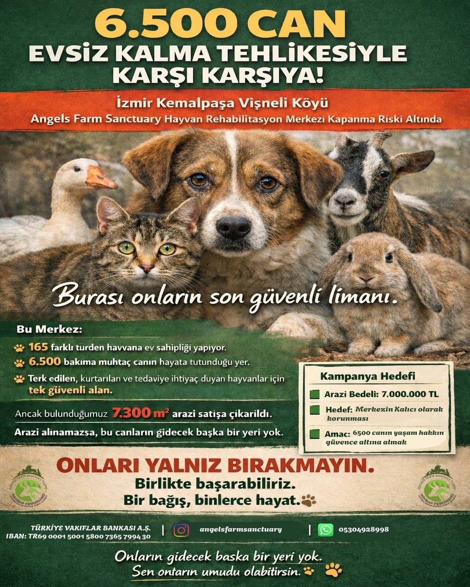 ANGELS FARM İÇİN SON ÇAĞRI !
EVİMİZ ELİMİZDEN GİDİYOR!
165 ayrı türde 6500 bakıma muhtaç hayvana yuva olan Türkiye'nin ilk ve en büyük hayvan koruma ve kurtarma merkezi olan Angels Farm Sanctuary ayakta kalmak için direniyor !
Rehabilitasyon merkezimizin de içinde +++++