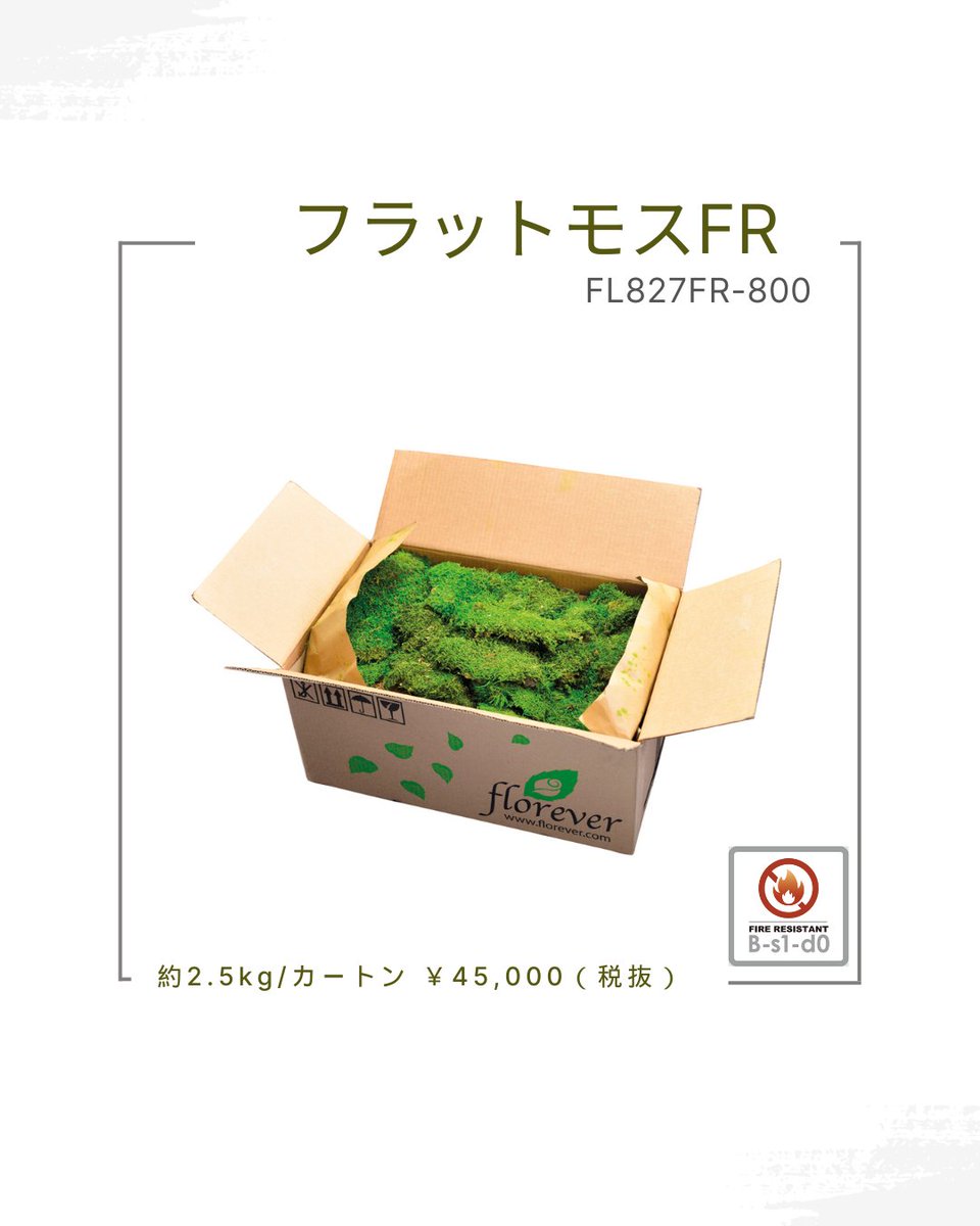 floreverJPN's tweet photo. 自然の質感を保ちつつ耐火性能を兼ね備えた「FRシリーズ」に『フラットモスFR」が加わりました。
※「フラットモスFR」はUNE-EN 13501-1:2019[1]規格に基づき、B-s1-d0[2]の耐火認証を取得しています。
2026年1月13日発売
詳細はこちら
https://t.co/s45dWOfCoi
#フロールエバー #プリザーブドフラワー https://t.co/cbPBUUTxOJ