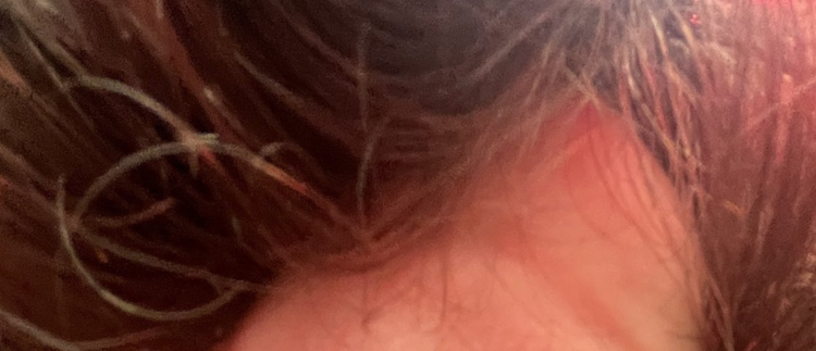 pprxteam's tweet image. tap to see something