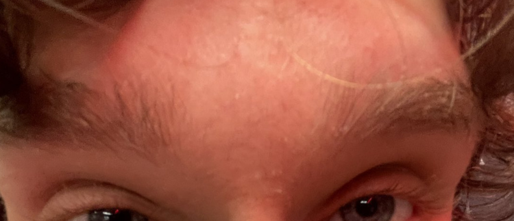 pprxteam's tweet image. tap to see something