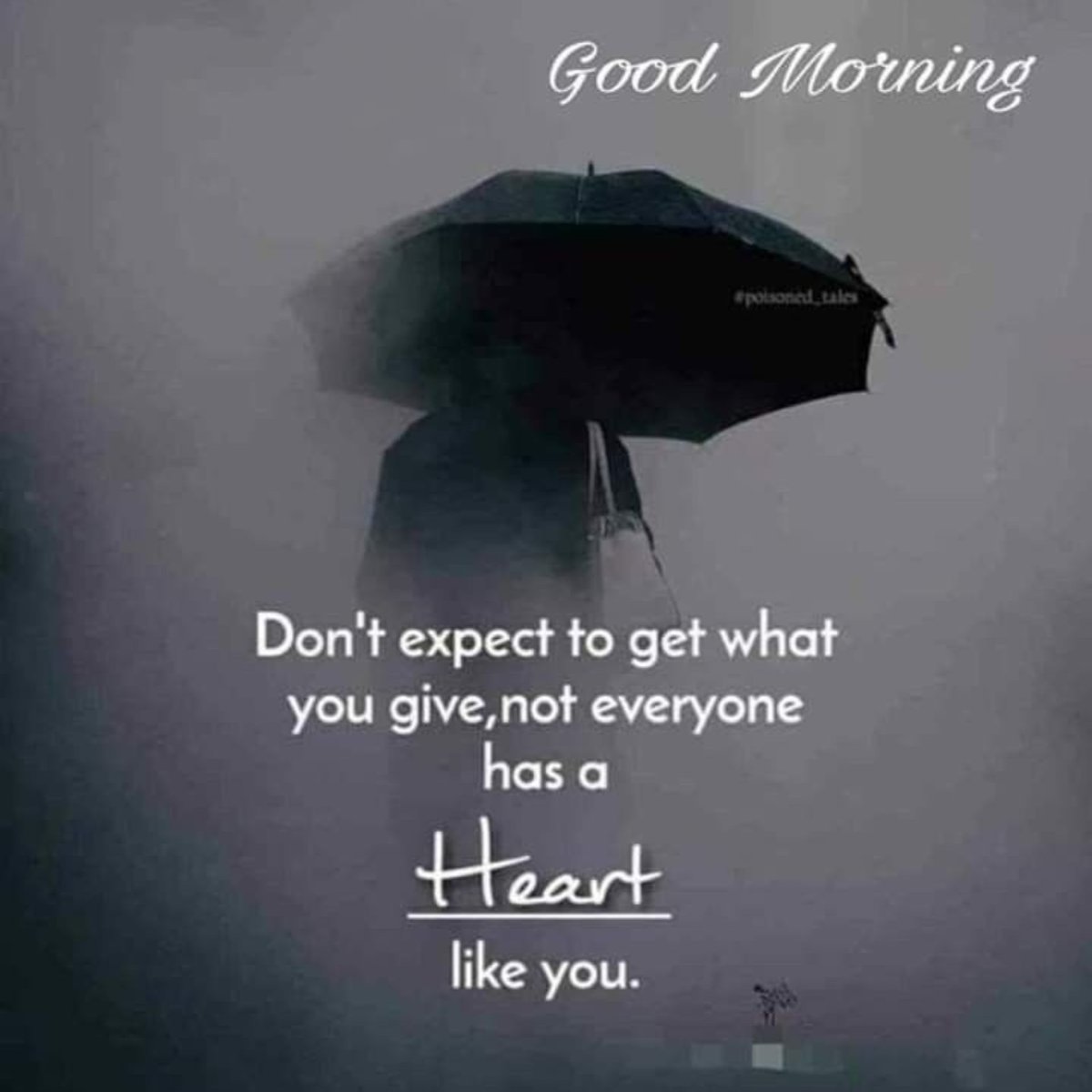 pureforms's tweet image. Good Morning 💛