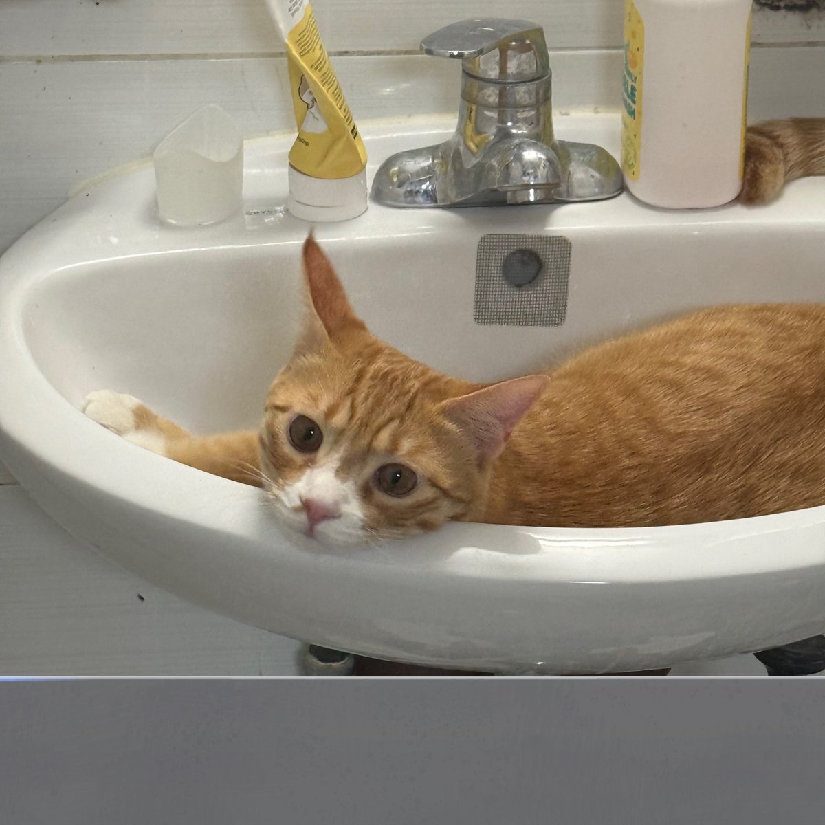 Daily_Ducong's tweet image. 화장실 문 여니까 이러고 있는 거 무지 당황스럽네...