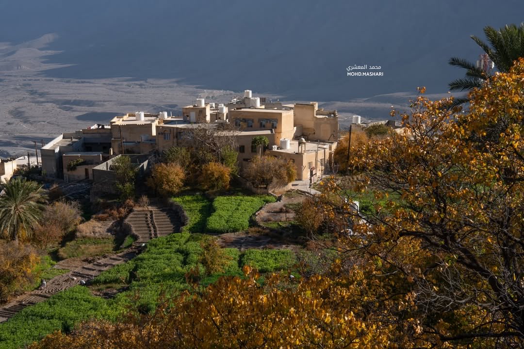 ExperienceOman's tweet image. In #Wakan, the trees turn into golden paintings 🍂 leaves shimmer under the sunlight, giving the place a calm seasonal beauty a scene that reflects nature’s charm in its simplest form 🌿

Insta: 📸 Mohammed Ali

#Oman 
#OmanByYou 
#ExperienceOman 
#BeautyHasAnAddress