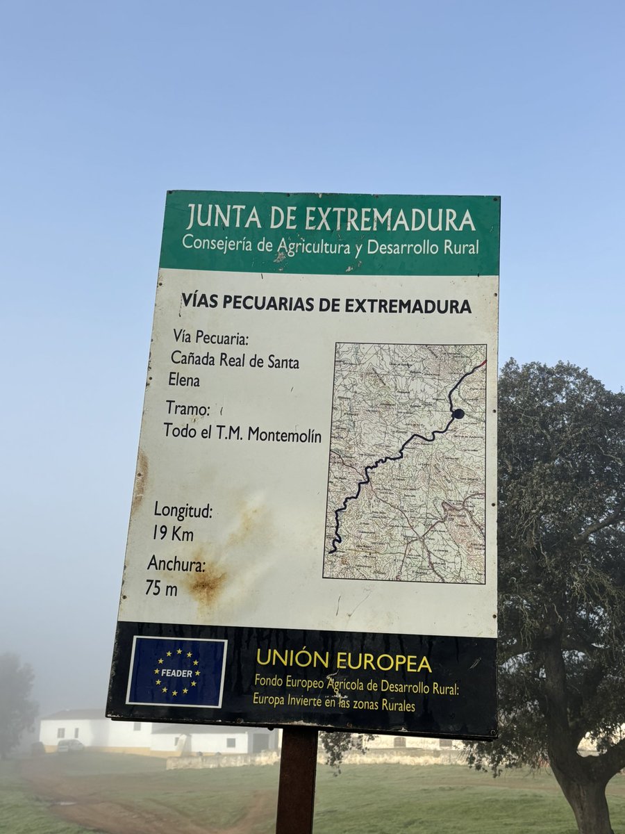 Sin el ganado en extensivo, nada de esto existiría. Tampoco sin la antigua y secular trashumancia de los rebaños del norte.