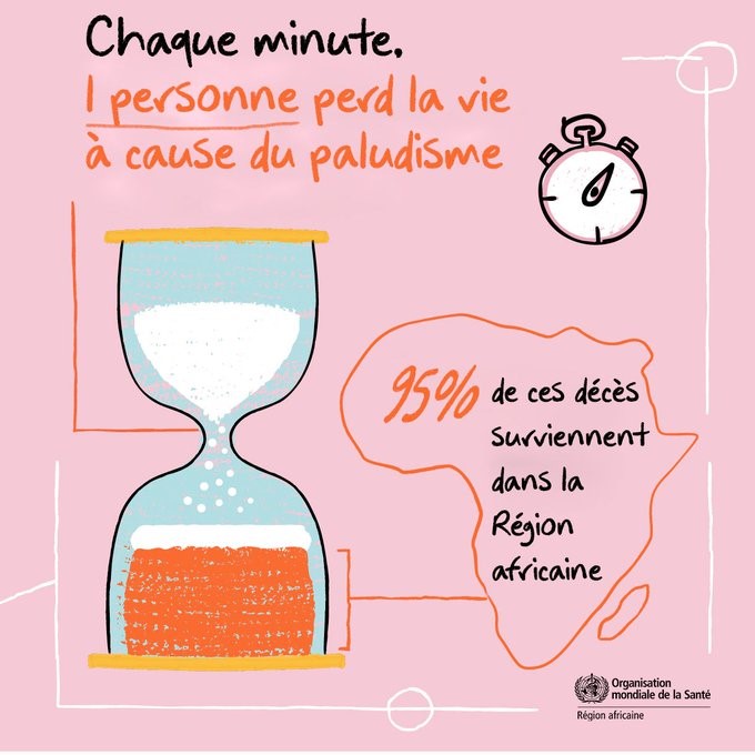 OMS_Afrique's tweet photo. Le #paludisme fait environ une victime toutes les minutes. La plupart de ces décès surviennent dans la Région africaine de l'OMS. 🦟

Nous disposons des connaissances, des outils essentiels et des méthodes ciblées de prévention, de dépistage et de traitement pour vaincre le paludisme. Les progrès dépendent :
✔️ de l'engagement politique
✔️ d'un financement durable
✔️ de données fiables et de haute qualité
✔️ de systèmes de santé plus solides.

Il est temps d’en finir avec le paludisme en Afrique🌍. 

Pour en savoir plus ▶️ https://t.co/xybxrmyvNu