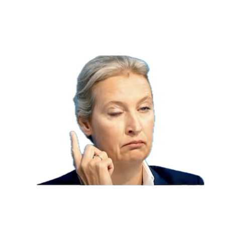 toadfresse tweet media