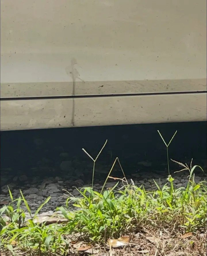 Beatonm5's tweet image. YAY 🤣🤣🤣