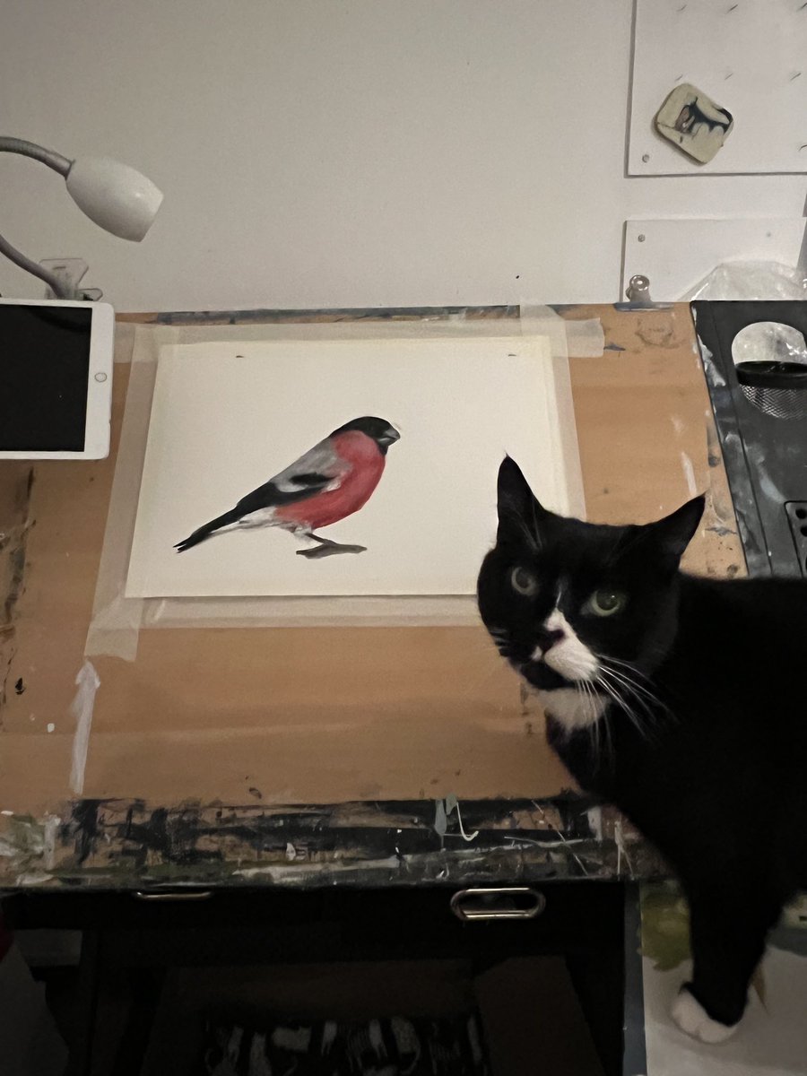 Sarah Evans tweet media