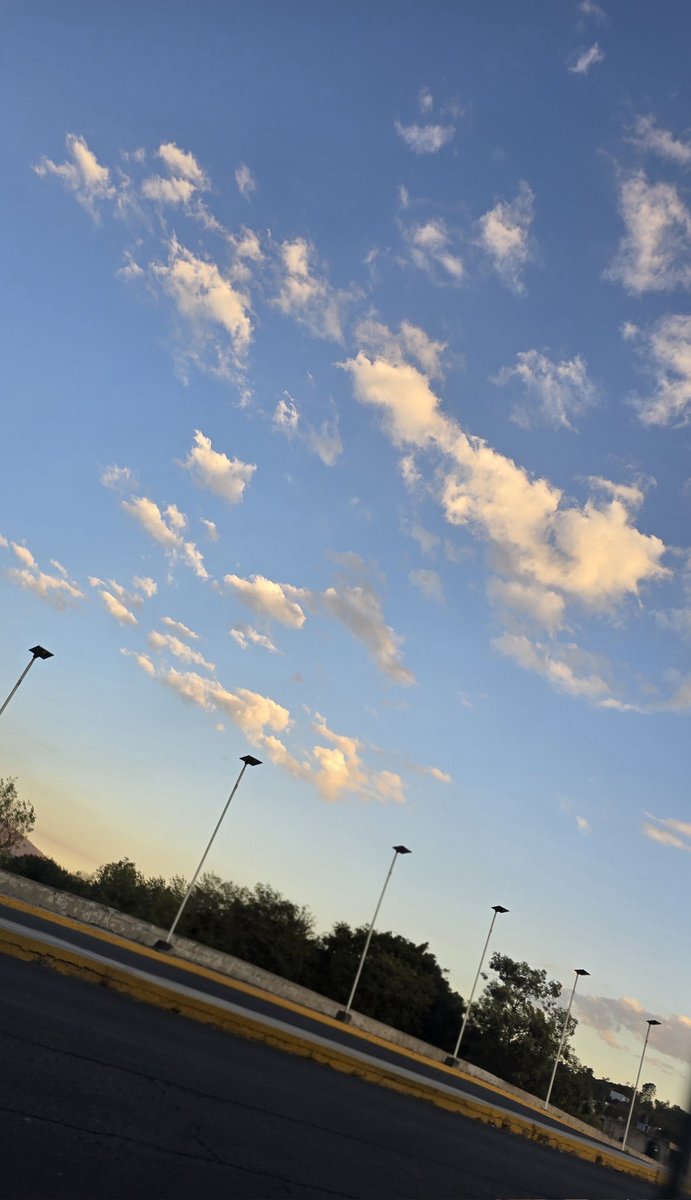 Anita lava la tinA ☀️ tweet media