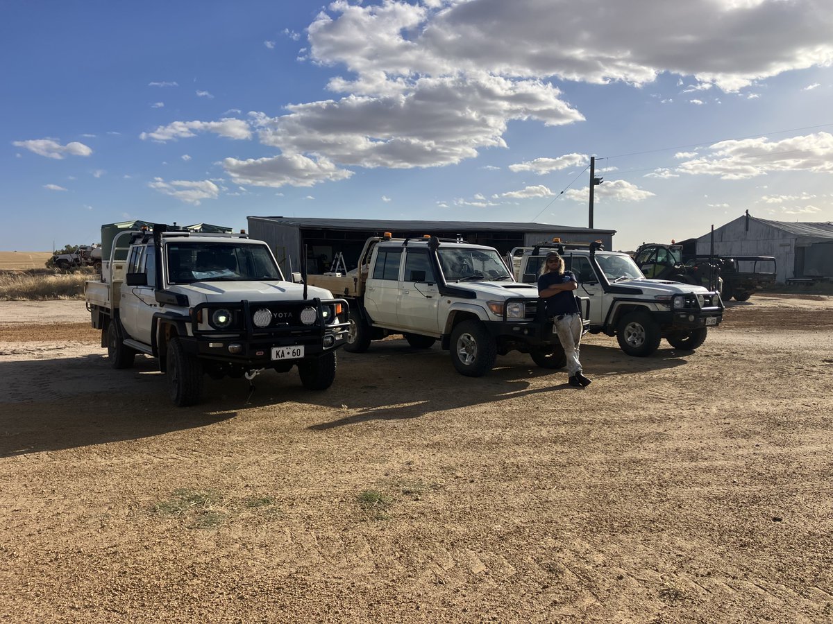 AgRecGroup's tweet photo. Assistant Farm Manager role available near Kojonup Katanning,WA. $100,000-$110,000.

Full time position on a large scale mixed cropping and sheep operation with housing and work vehicle provided. Apply via AgRec https://t.co/8IsTznNuCK https://t.co/CC0A5mAXcy