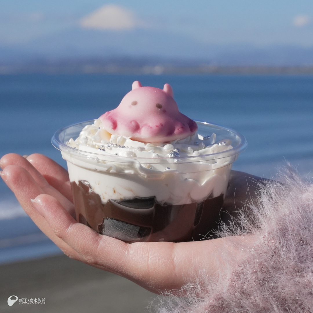 めんだ子 (@mendako3love) / Posts / X