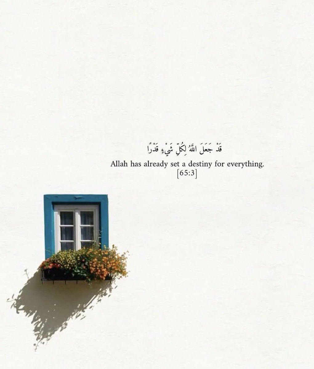 DearSelf tweet media