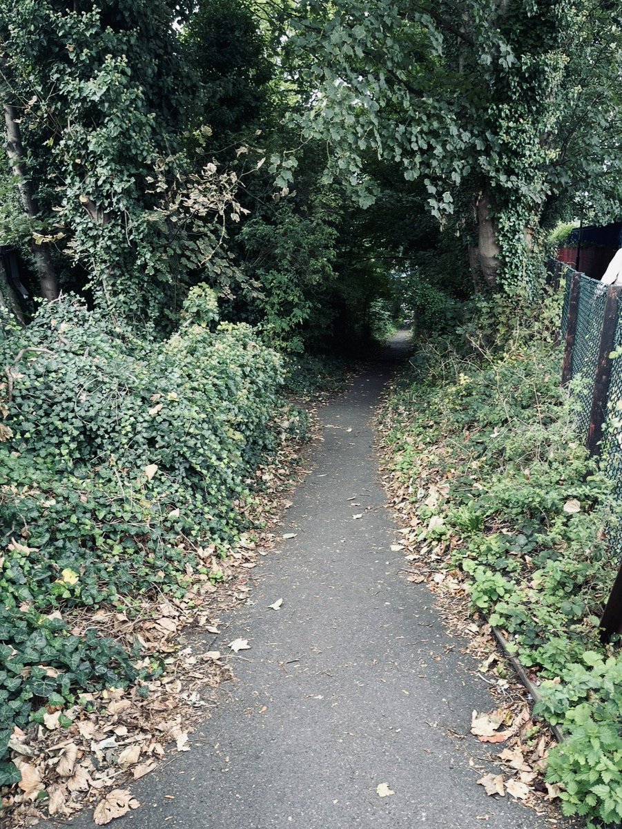 The 2025 Employment Act is making fundamental changes to workplace governance. SNS Solicitors in Maidstone are ready but are you?