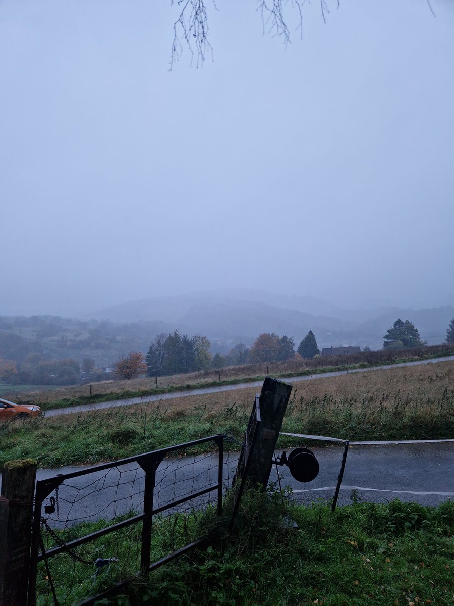 A Decorators Life tweet media