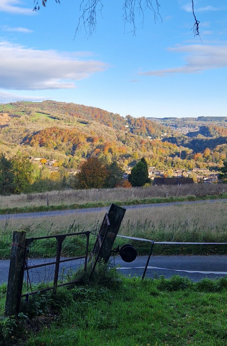 A Decorators Life tweet media