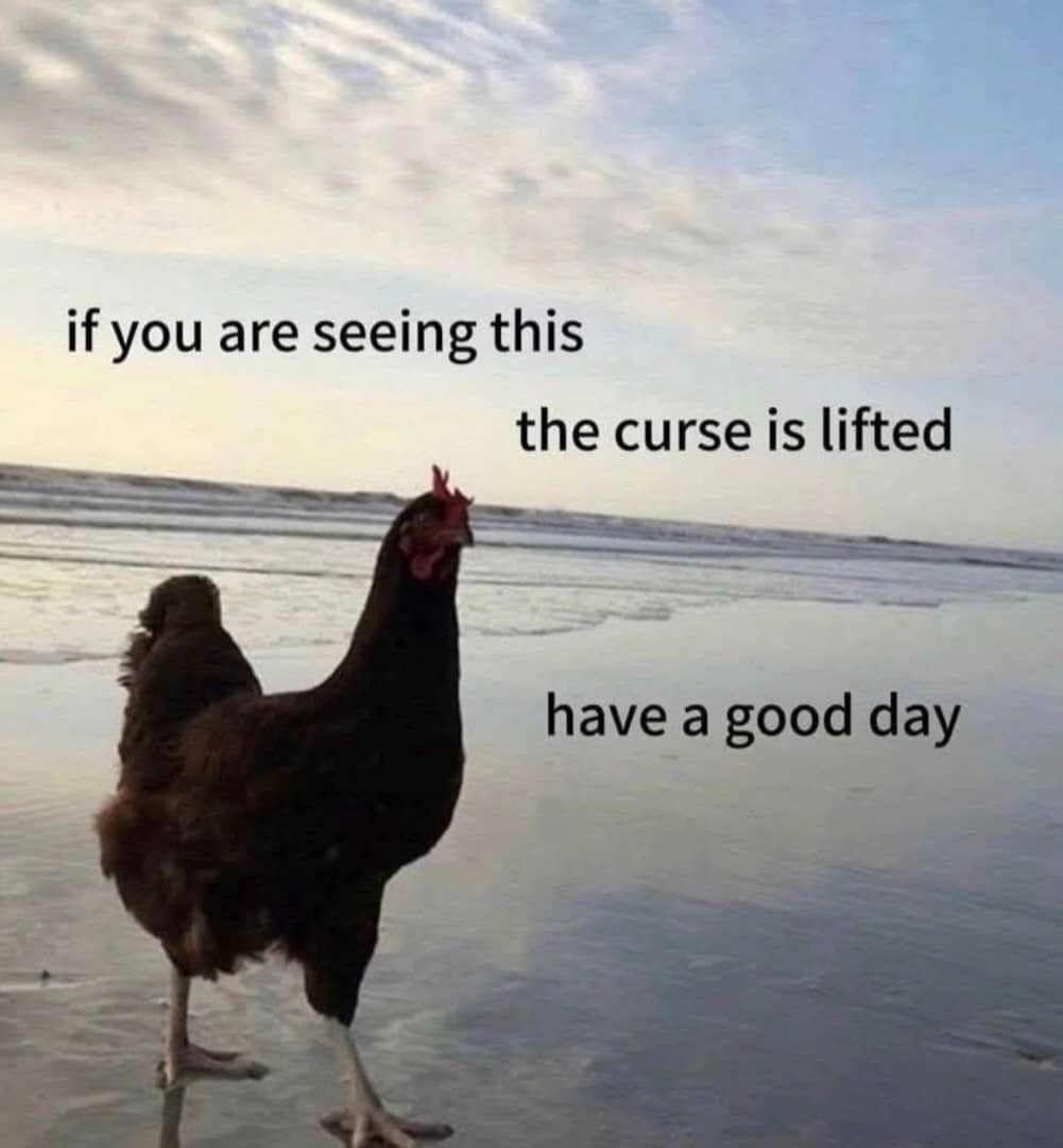 KNakins's tweet photo. gm Xwitter https://t.co/kvRJNLQobo