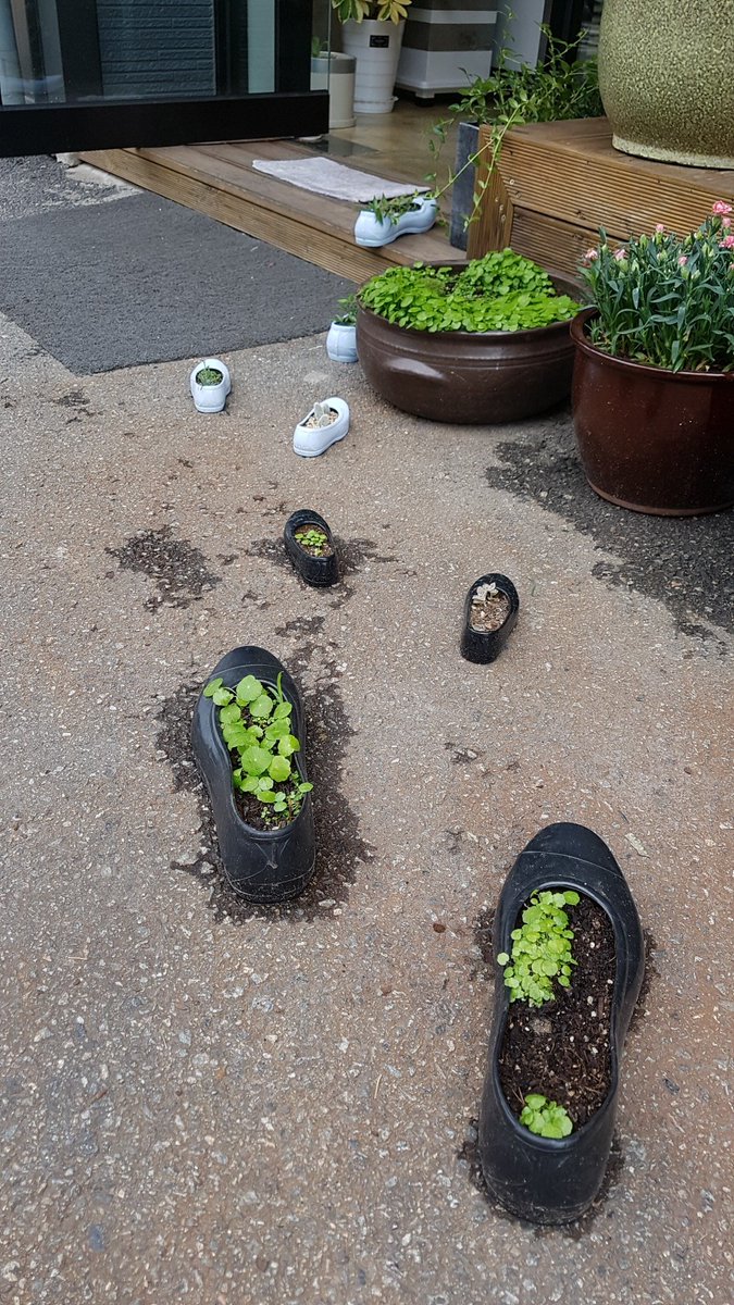 피드없는 분
솔남분들의 관심 감사하지만
지금은
정해놓은 인연을 기다리거든요
그리고
31일(토) 성남에 다녀오는데
서울, 경기권
불러주시는곳 있으시면
그곳에서 1박하려 합니다
마음을 디엠으로 주세요^^
#춘천 #팸섭 #디그레이디
#레즈 #스팽 #슬레이브
#마조 #수치​ #린치
진심인분 기다려봅니다